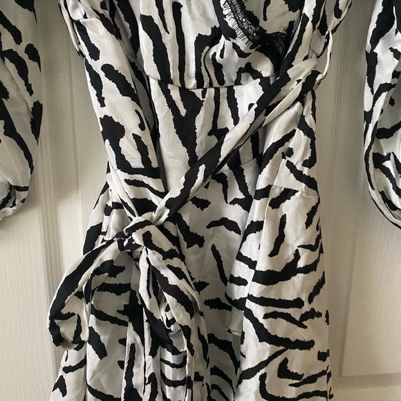 FASHION NOVA - ZEBRA PRINT DRESS - Picture 8 of 10